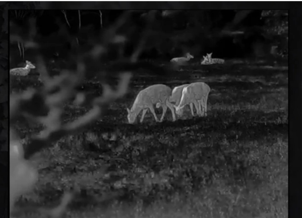 ThermEye Cyclops 350D